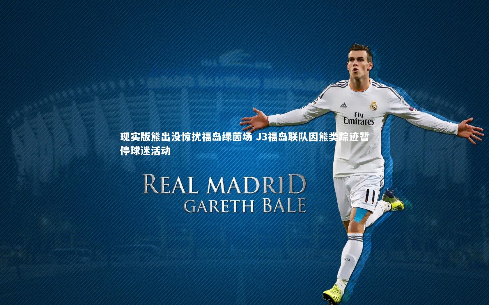 现实版熊出没惊扰福岛绿茵场 J3福岛联队因熊类踪迹暂停球迷活动